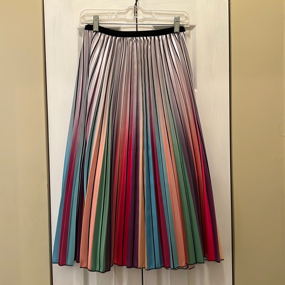 Lined pleated rainbow skirt